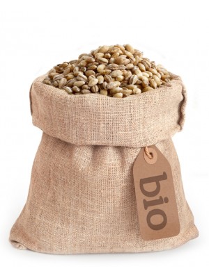 Ješprenj- okrogli oluščeni ječmen BIO