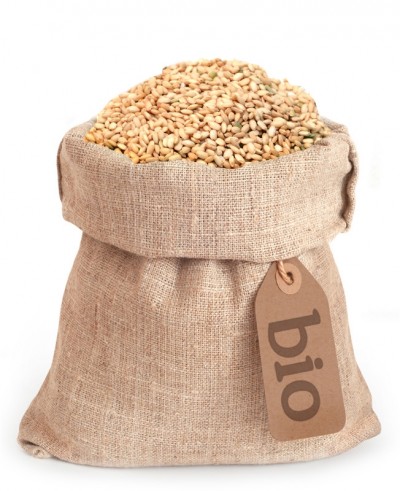 Riž rjavi okroglozrnati BIO