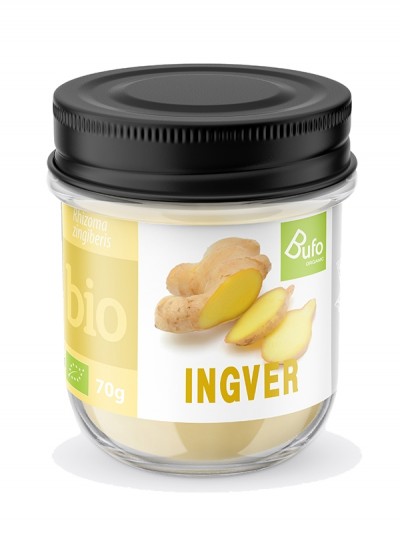 Ingver v prahu BIO 