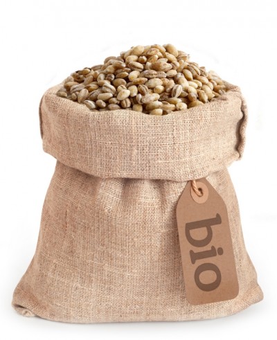 Ješprenj - oluščeni ječmen BIO